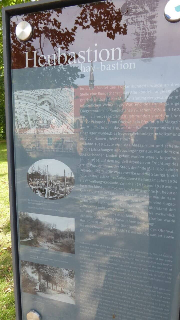 Peaceful Park Strolls