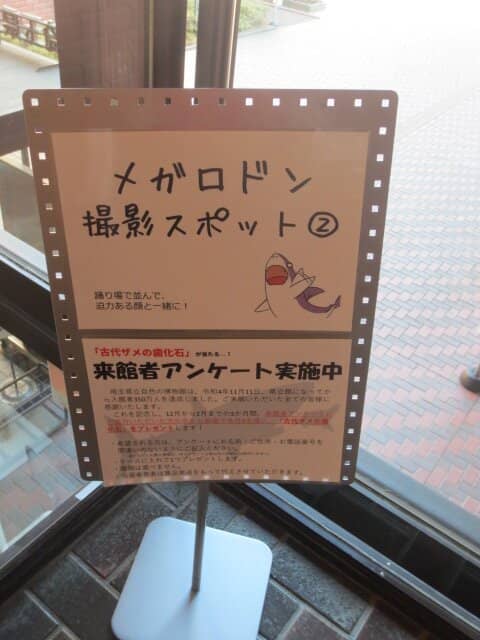 Interactive Nature Displays