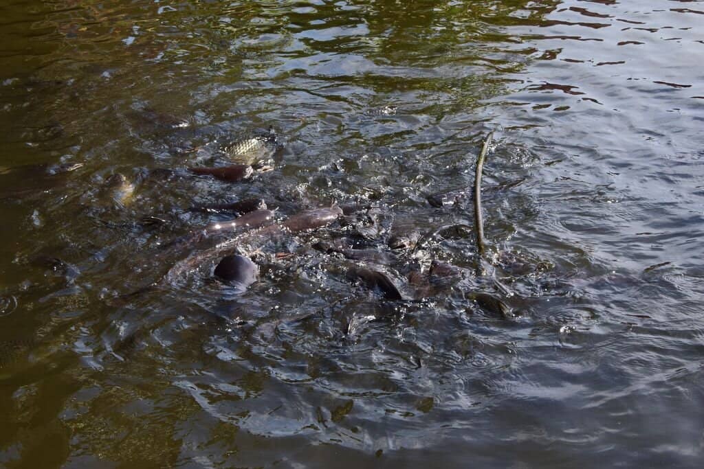 The 18-Armed Guanyin Statue