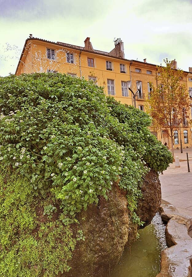 Fontaine Moussue's Verdant Beauty
