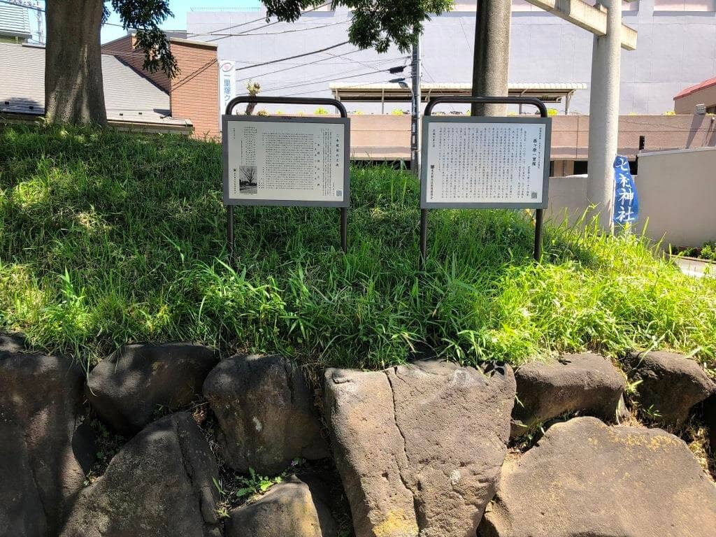 Peaceful Walking Paths