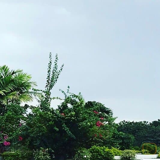 GSIS | Instagram 📸 @kristinemaeb