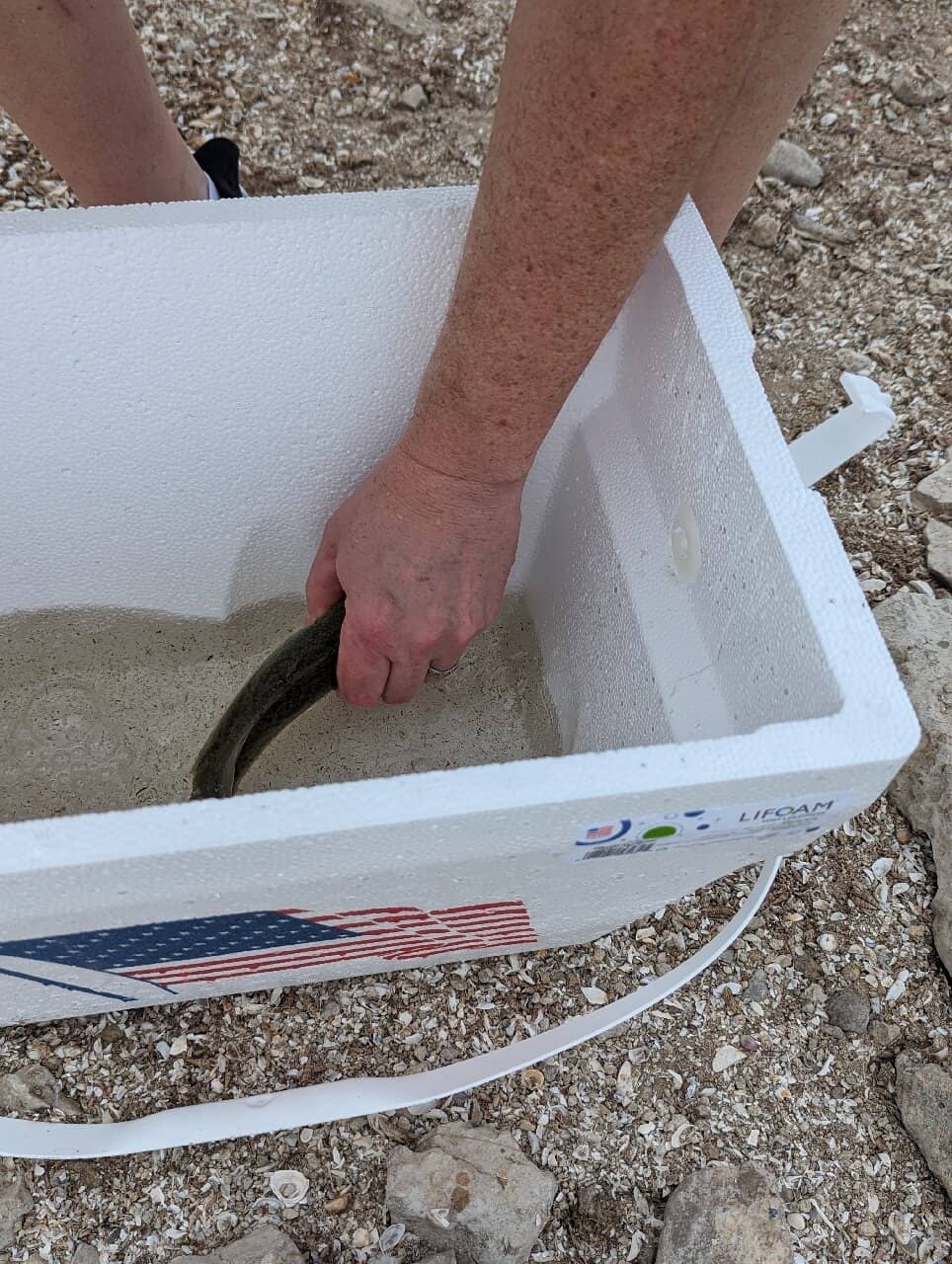 Family-Friendly Playground