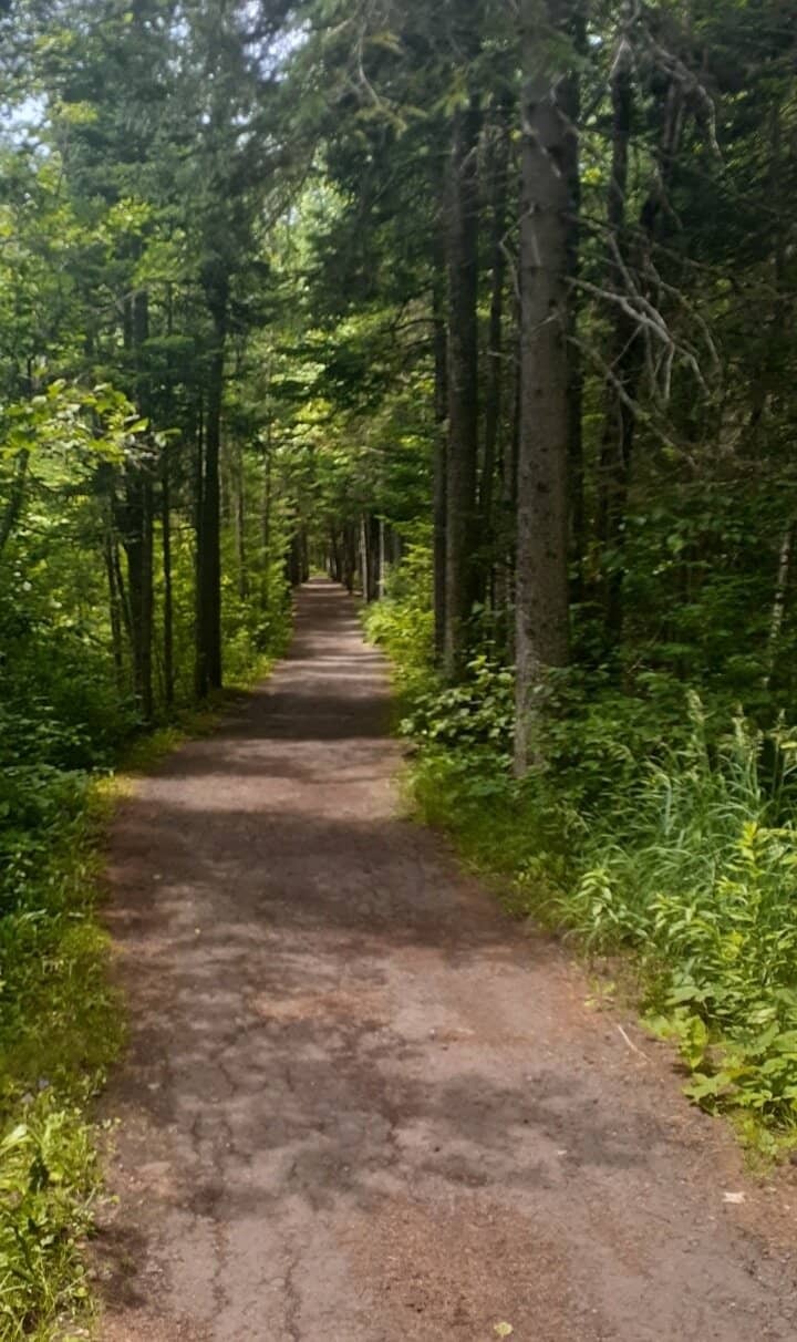 Serene Lakeside Views