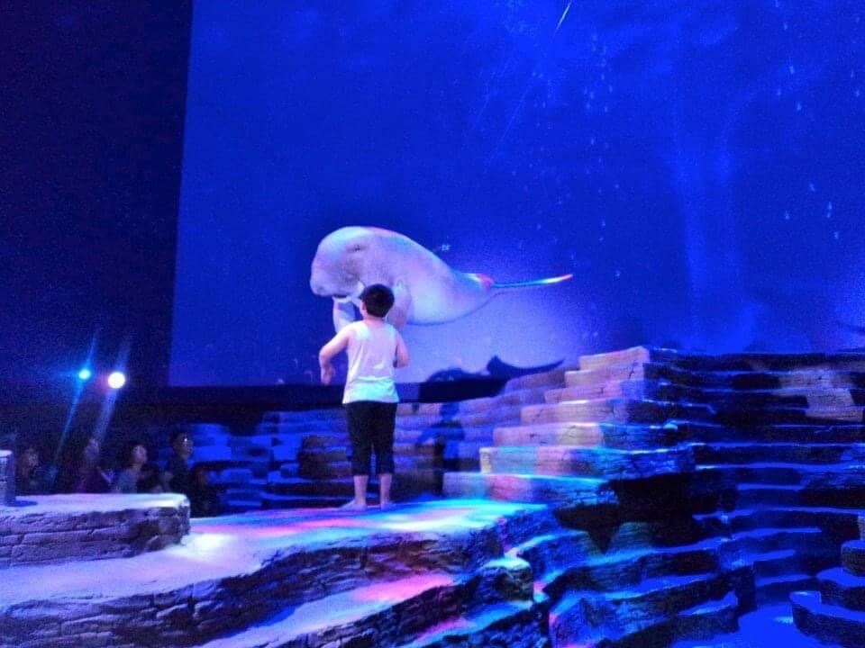 Aqua Fantasy Show