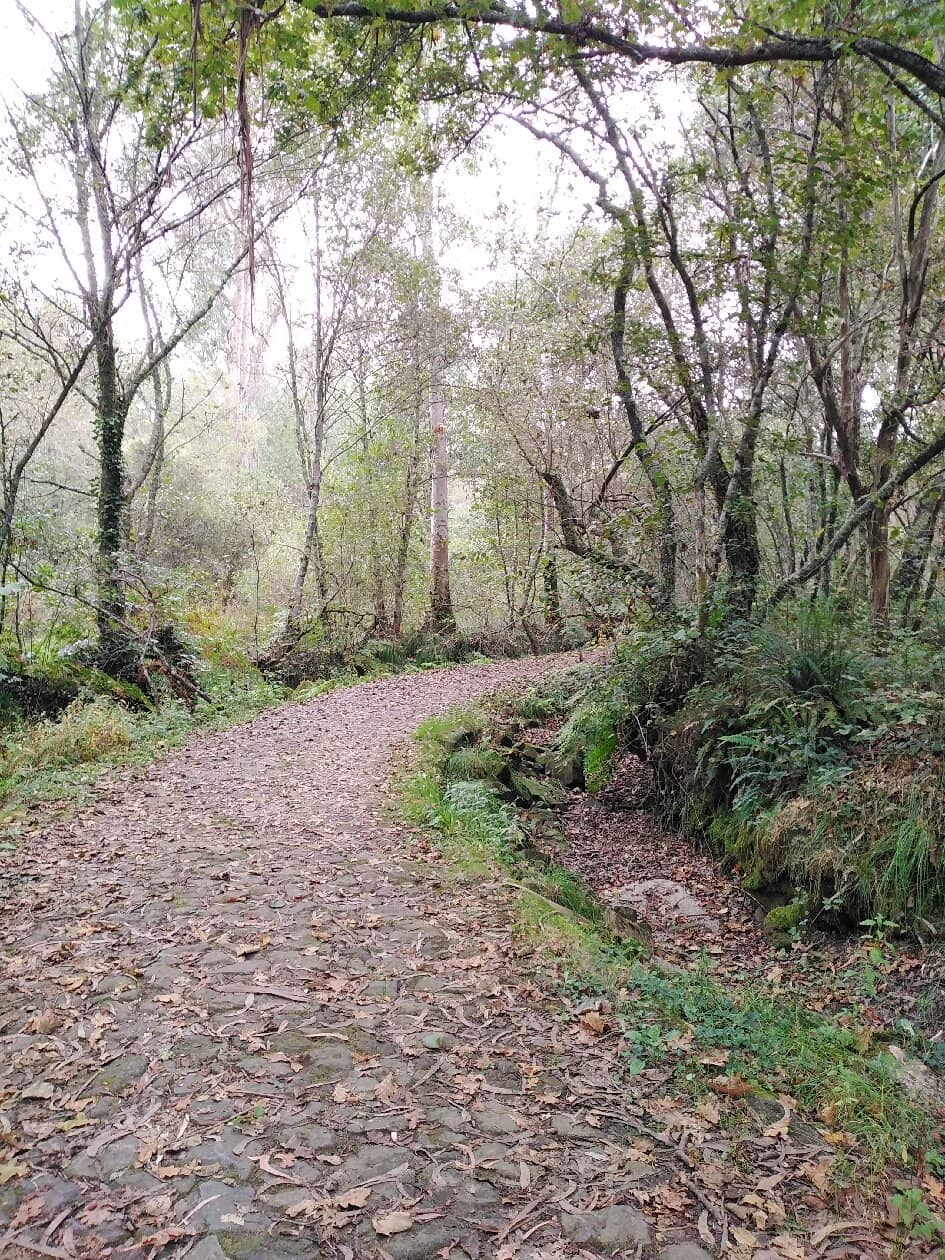 Educational Programs