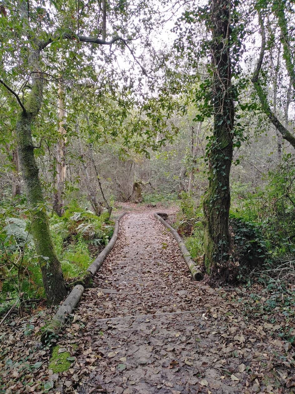 Quinta Pedagógica de Pentieiros
