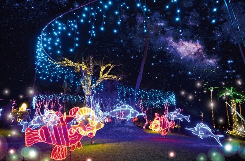 Spectacular Night Light Display