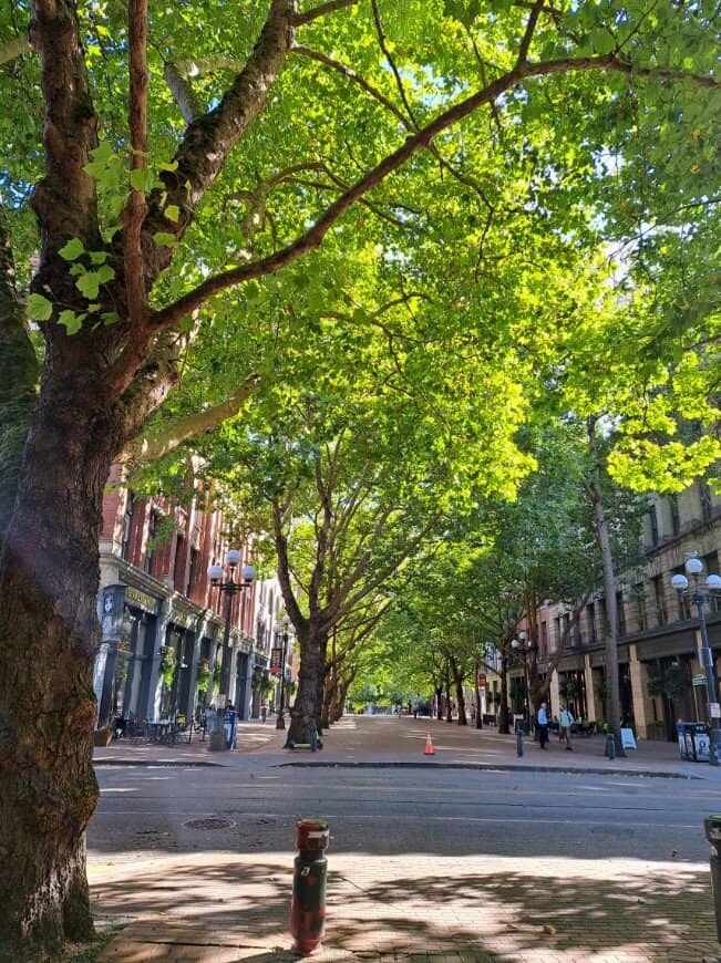 Historic Totem Poles