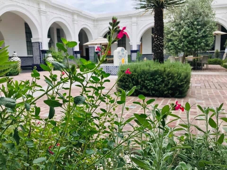 Un lugar increíble para pasar tu tarde en el jardín del Museo del Vino acompañado de una copa de vino de la region.
