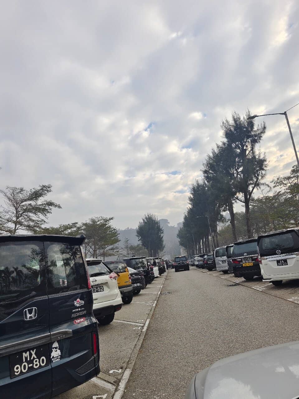 Coastal Parks & Playgrounds