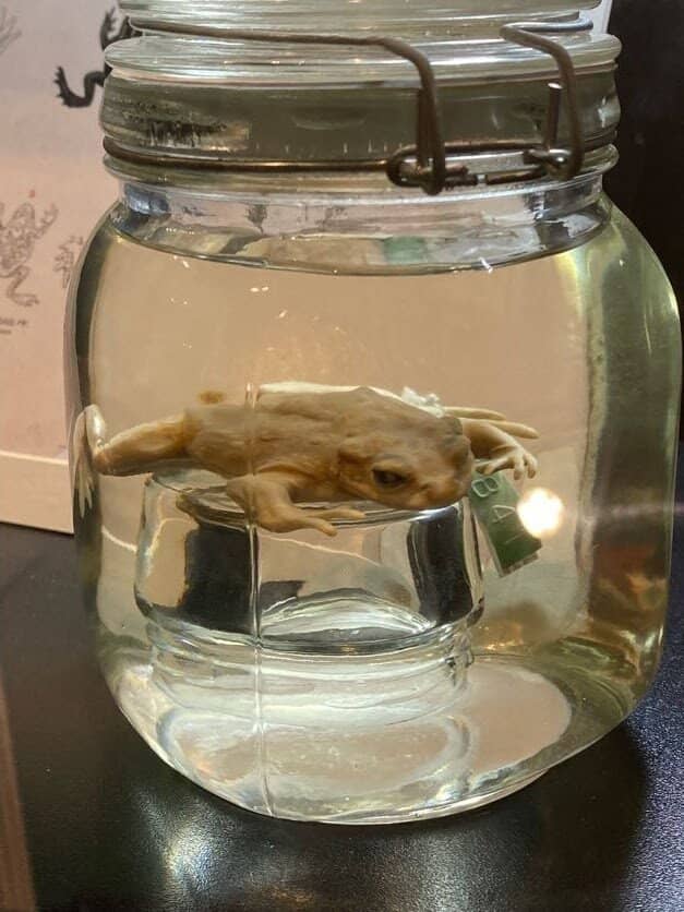 Indigenous and Settler History