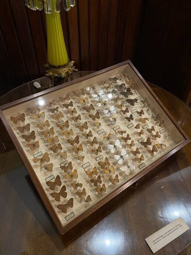 River Views from the Garden