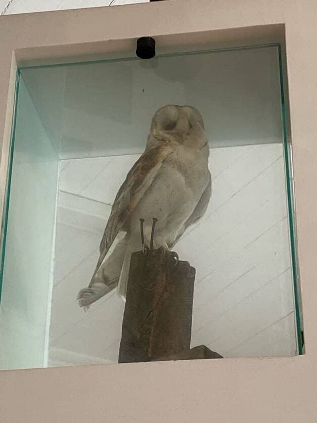 Historical German House Setting