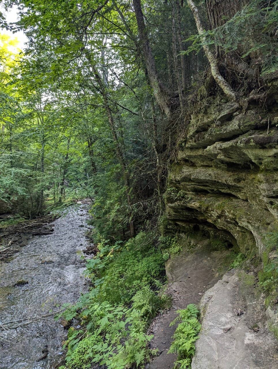 Mosquito Falls