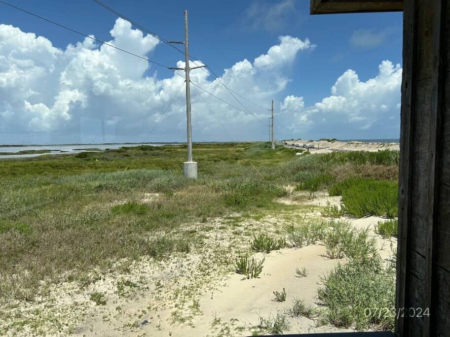 Birdwatching Paradise