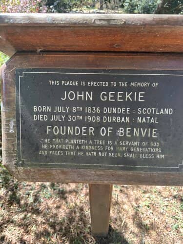 Ancient Majestic Trees