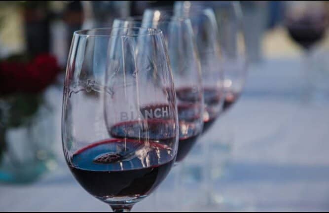 Wine Tasting Experience
