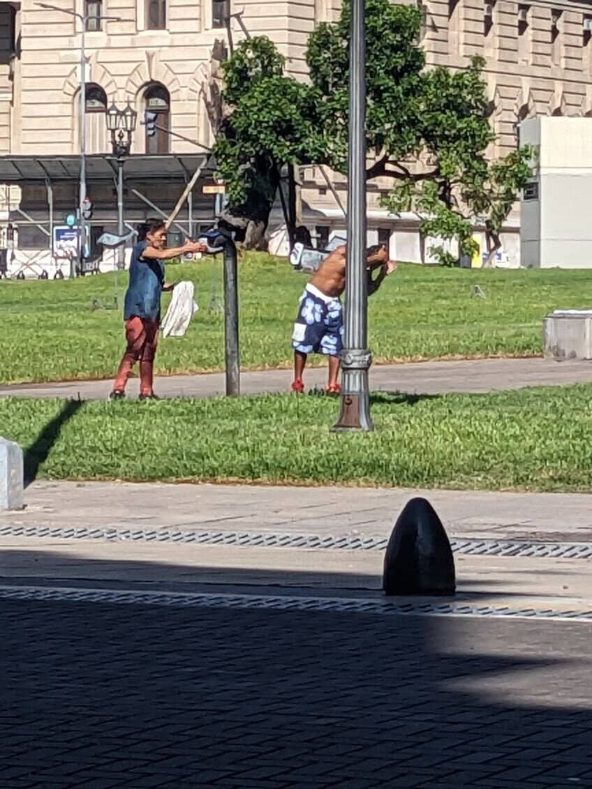 Diverse Tree Collection