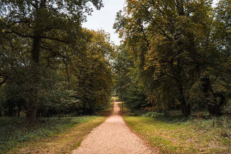 Historical Lookout House