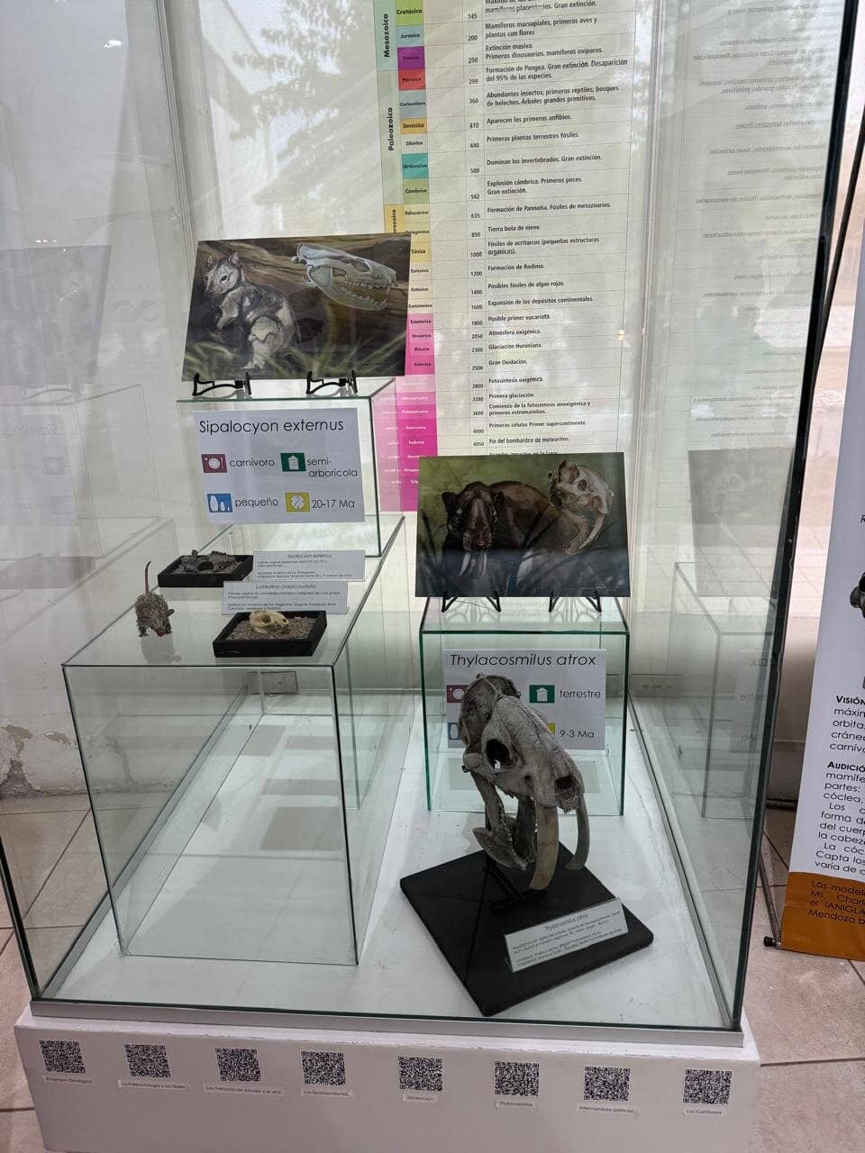 Biodiversity Exhibits