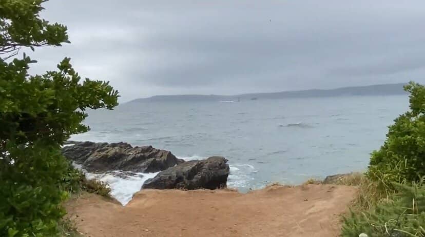Rocky Cliffs & Tide Pools