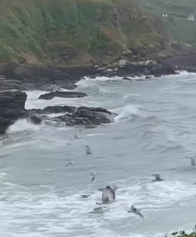 Sandy Cove