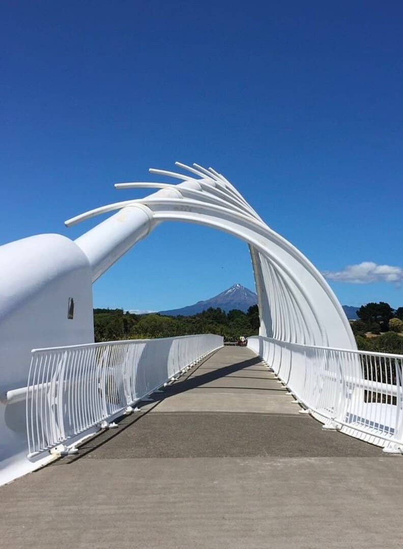 The Iconic Taranaki Frame