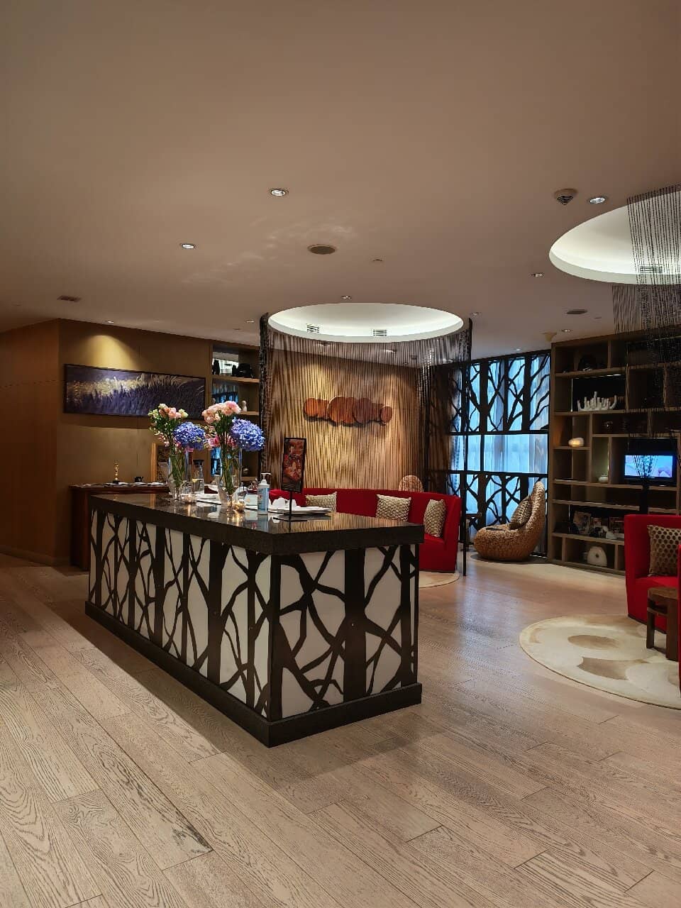 Holistic Wellness Treatments