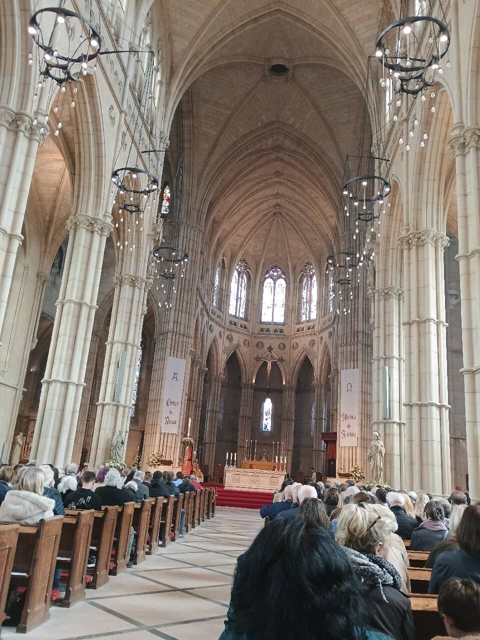 Impressive Organ