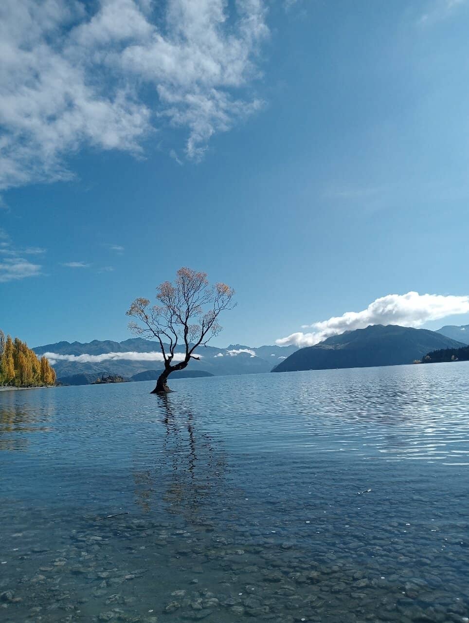 Lake Wanaka Shoreline