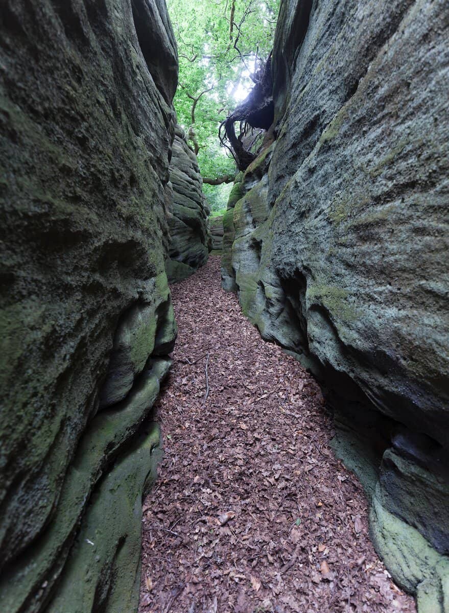 Vertical photo