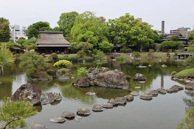 Koi Pond & Feeding