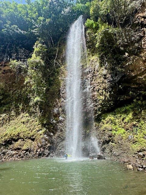 Fern Grotto