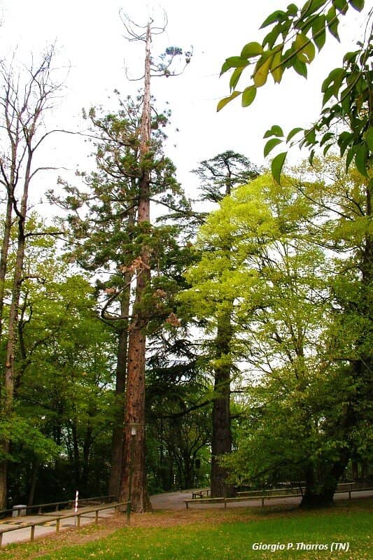 Tranquil Walking Trails