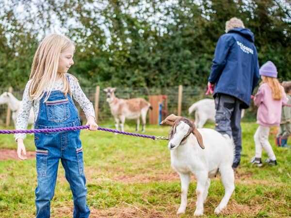 Barnyard Encounters