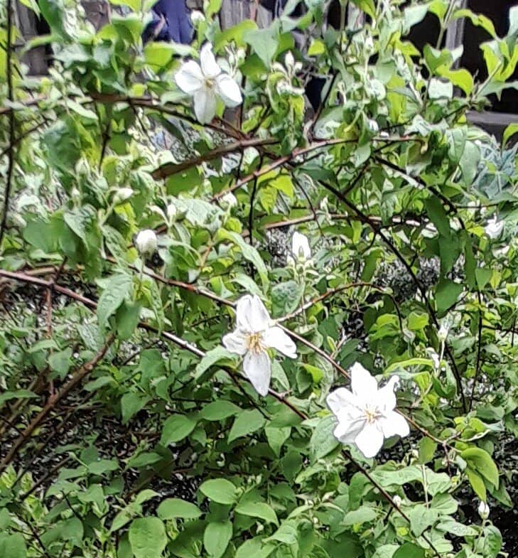 Medieval Monastery Architecture