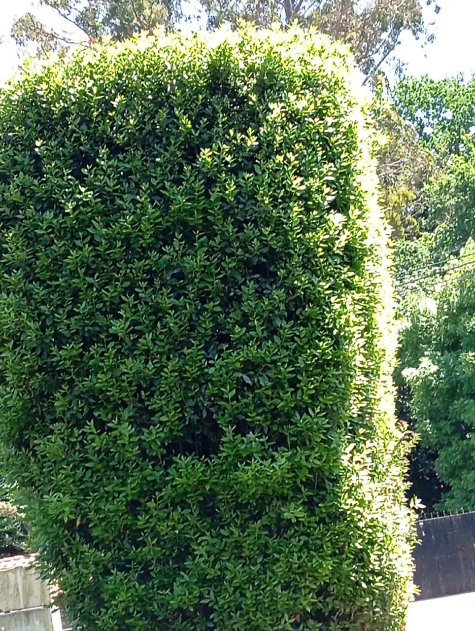 Complement to Cave Art