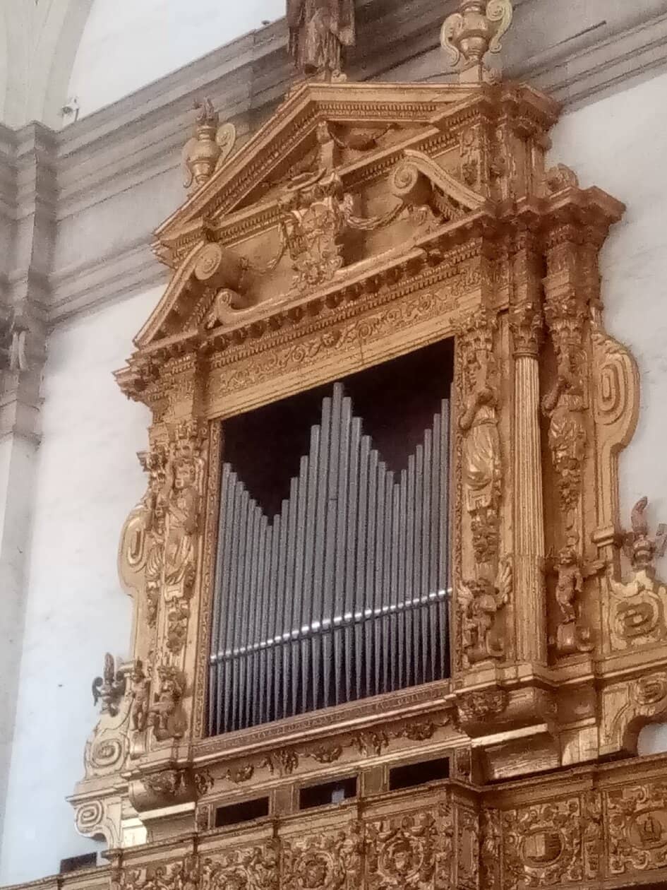 Vertical photo
