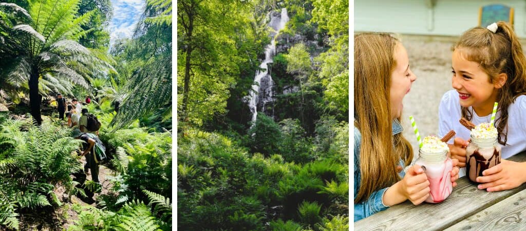 Waterfalls, Ferns and adventure play