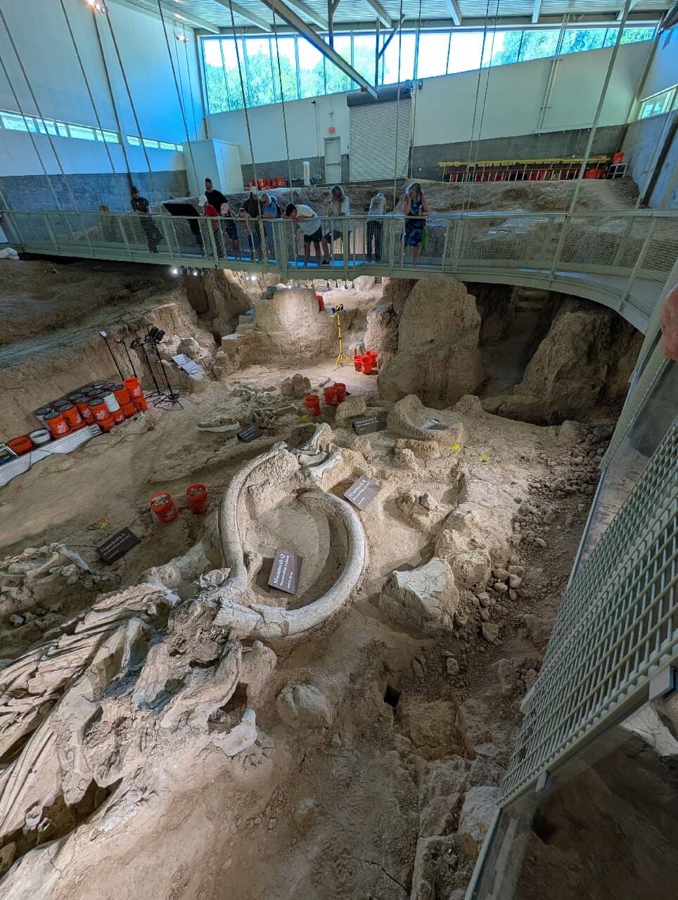 Kid's Fossil Dig Pit