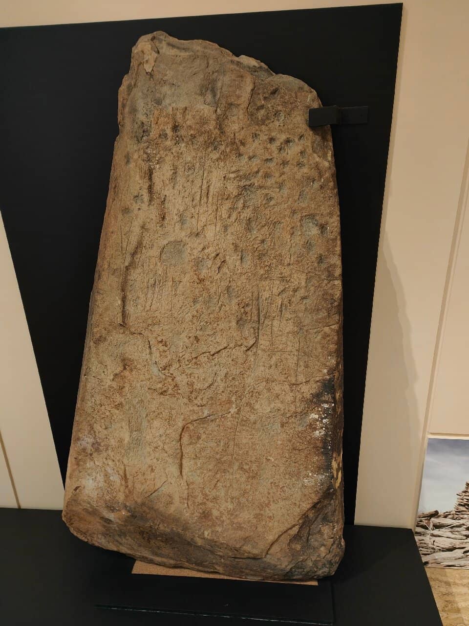 Augmented Reality Exhibits