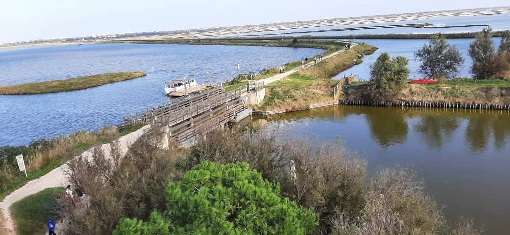 Birdwatching Paradise