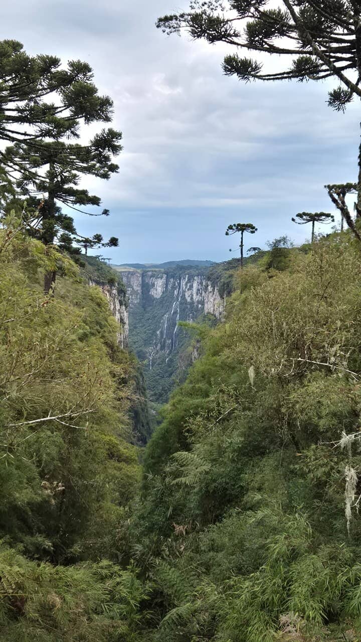 Vertical photo