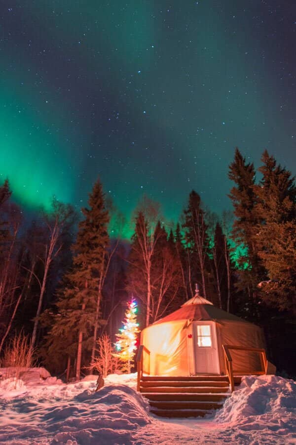 Mushing Training Course