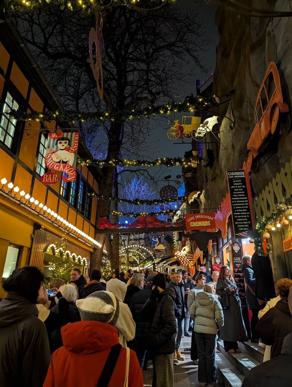 Relaxing Hammock Zone