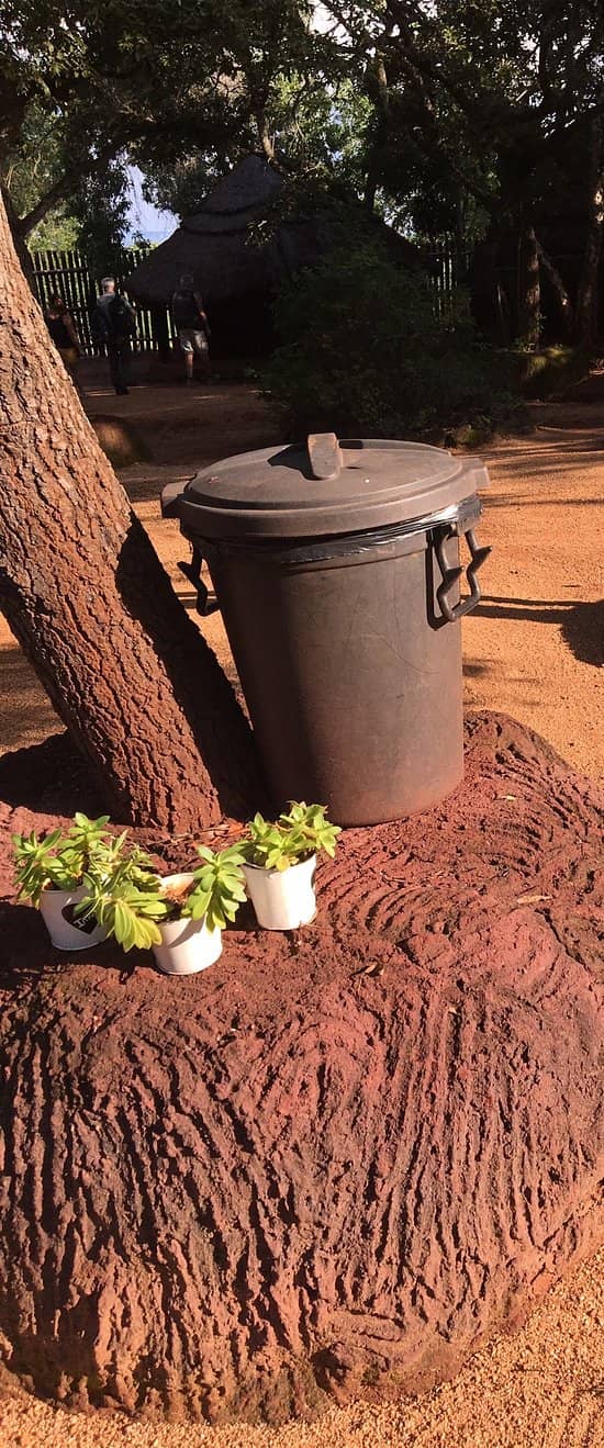 Shangaan Cultural Show