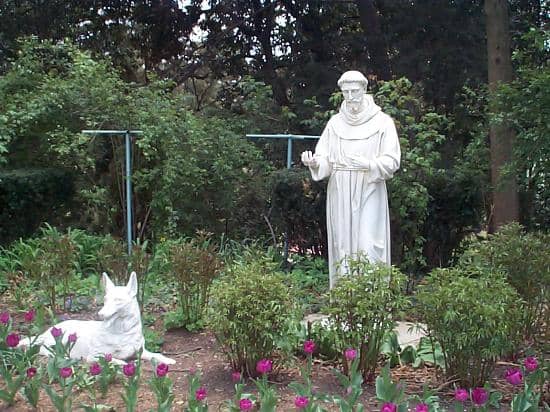Tranquil Gardens