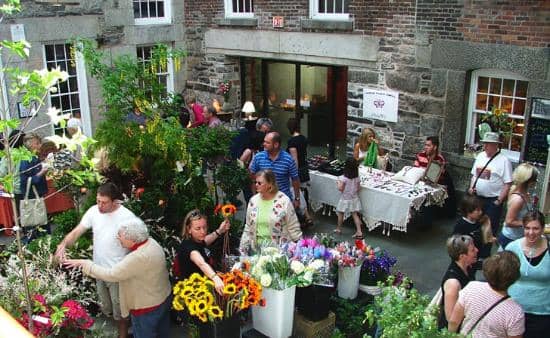 Global Flavors & Local Eats