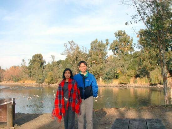 Playgrounds and Carousel